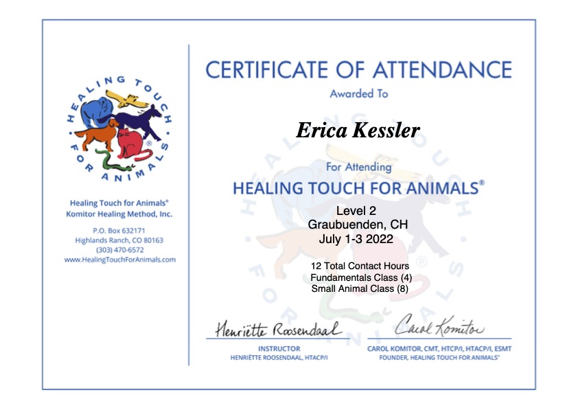 Erica Kessler Healing touch for animals certificate 2